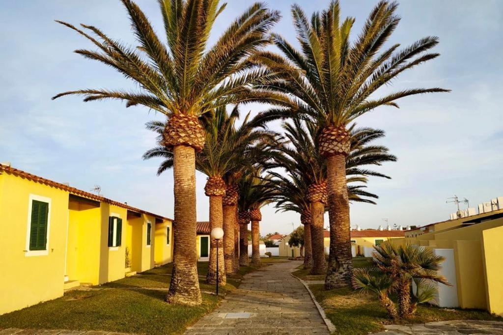 Apartamento 7 Palmeras Ciutadella  Bagian luar foto